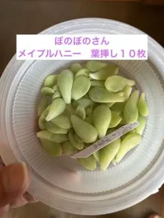 優飛mama様 リクエスト 3点 まとめ商品