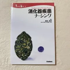 Item thumbnail for item 179c205c-b1bb-40fb-83c3-32f6db2effa7