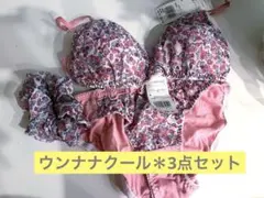 ウンナナクール＊ノンワイヤーブラショーツセット