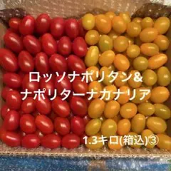 ロッソナポリタン&ナポリターナカナリア1.3キロ(箱込)③のサムネイル