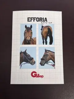 エフフォーリア　Gallop フォトプラス　名馬証明写真風