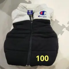 Champion ベスト 100サイズ
