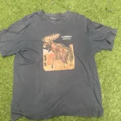 L.L.Bean tシャツのサムネイル