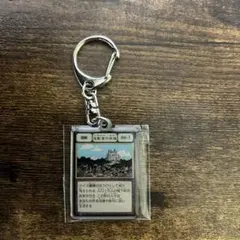 2026年最新】メタルキーホルダー ハンターハンターの人気アイテム