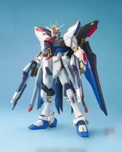 ころなかた mgexストライクフリーダム&rgサザビークリア ころなかた様専用 mgexストライクフリーダム&rgサザビークリア - メルカリ