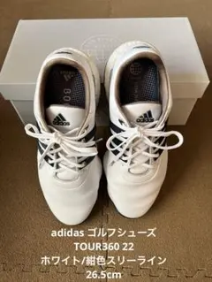 Item thumbnail for item 9cbab9eb-62c3-4002-b918-464fee58cf54