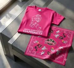 秋田ノーザンハピネッツ＆銀牙 Tシャツ 赤カブト Sサイズ バンダナ