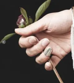 johnleeknb様専用★8UEDE/KAKI PICK(GOLD)★