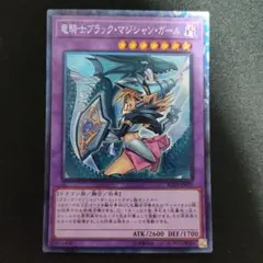 遊戯王 竜騎士ブラック・マジシャン・ガール シークレットレア 絵違い