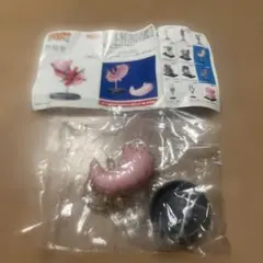 京都科学　胃模型　株式会社ユージン　シークレット