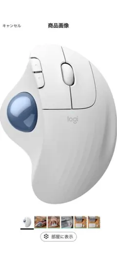 Item thumbnail for item 29922405-8700-429c-935f-76deb5a90822