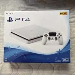 PS4 本体 Glacier White 500GB 期限切れ保証書付き
