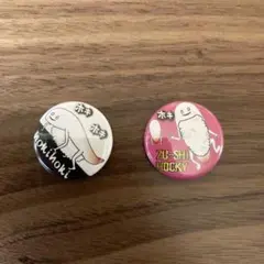 ずーしーほっきー　缶バッジ2個