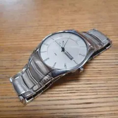 SKAGEN [작업 제품] 스카겐 덴마크 시계 본체
