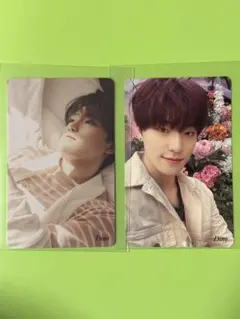 SEVENTEEN セブチ Your choice HMV 特典 トレカ ディノ