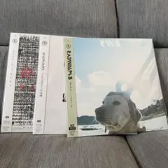 2026年最新】RADWIMPS レコードの人気アイテム - メルカリ