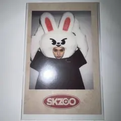 straykids スキズ リノ ポラロイド SKZ-X ペンミ skzoo