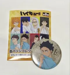 ハイキュー!! 缶バッジコレクション（岩泉一）