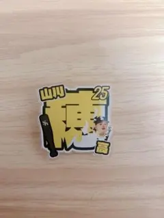 ソフトバンクホークスアクリルネームバッジサマーブースト山川穂高若鷹