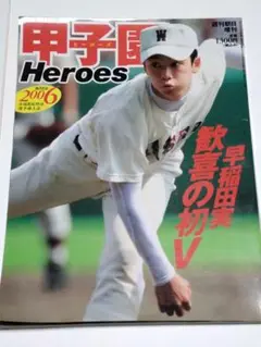 甲子園ヒーローズ　2006