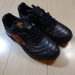 Item thumbnail for item 7386d5e4-d542-4f13-b4d5-c9a1aefb7b68