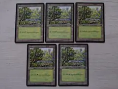 森 (英) 5枚 初代アリーナランド 2026年最新】アリーナランドの人気アイテム - メルカリ