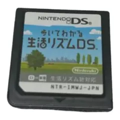 Nintendo DS ソフト 歩いてわかる 生活リズムDS