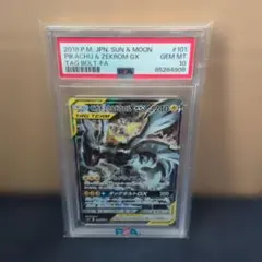 英*報様 【PSA10】 ピカチュウ&ゼクロムGX