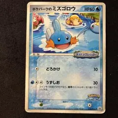 ポケモンカード ポケパークのミズゴロウ 048/PCG-P