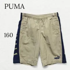1419【プーマ】キッズ ハーフパンツ 半ズボン ベージュ紺 160 カジュアル