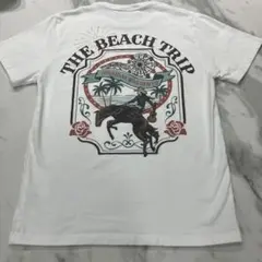 平井大　ツアーTシャツ　Mサイズのサムネイル