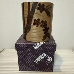 Item thumbnail for item 1498213d-75d6-4ecf-9b69-a1df21746286