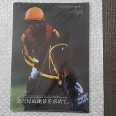 JRA ブエナビスタ　クリアファイル　ヒーロー列伝No.69