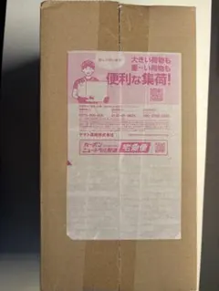 未開封　ポケモンカード　スペシャルBOX ポケモンセンターフクオカ