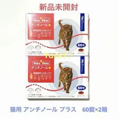 Item thumbnail for item 72148435-8a01-40b1-8a3c-b0971e4985e5