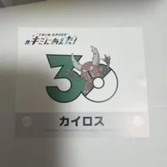 アルセウス ポケモン30周年 キミにあえた！ ポケセンオンライン