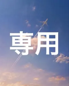 専用
