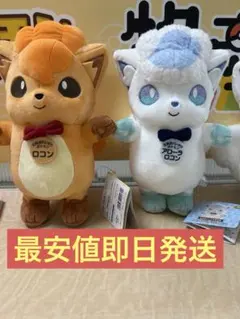 ポケモンローカルActs物産展ぬいぐるみ　ロコン　アローラロコン 4体セット