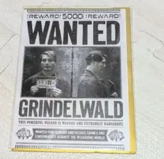 2025年最新】ミナリマ グリンデルバルドの人気アイテム - メルカリ