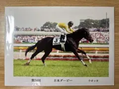 ウオッカ　日本ダービー　フォト　未開封