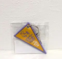 UNISON SQUARE GARDEN 名古屋が極まる キーホルダー