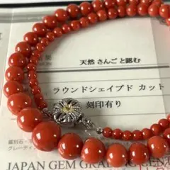 血赤珊瑚 丸玉3.5-10.5mm グラデーション ネックレス 鑑別書付 無染色のサムネイル