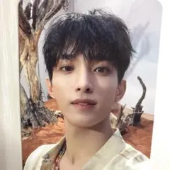 SEVENTEEN ドギョム　FACE THE SUNトレカ