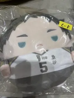ハイキュー！！くじメイト　ぬいくじ　ふわコロりん　C賞　赤葦　Mサイズ