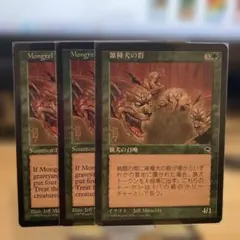 2026年最新】テンペスト mtgの人気アイテム - メルカリ