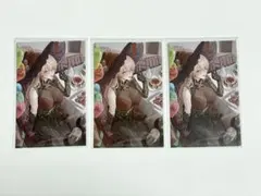 ノスタルジアコレクション ニュイ・ソシエール