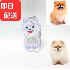 フクタン様 リクエスト 2点 まとめ商品