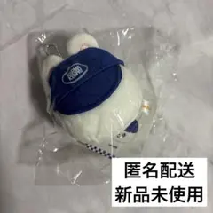 straykids karma popup ボールキャップ ぬい リービット