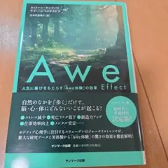 Awe Effect