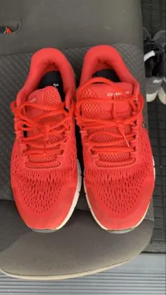 Item thumbnail for item 42ef7e6b-5e7f-413a-9eb6-ce1fb70a7cca